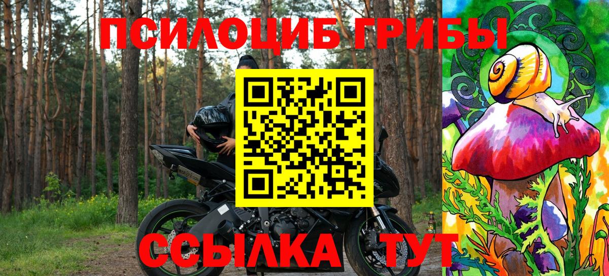 Галлюциногенные грибы мухоморы  Вход с VPN  Димитровград 